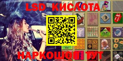 прущие грибы Можайск