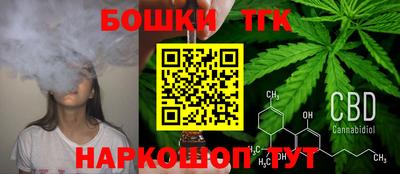 шишки Моздок