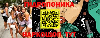 прущие грибы Можайск
