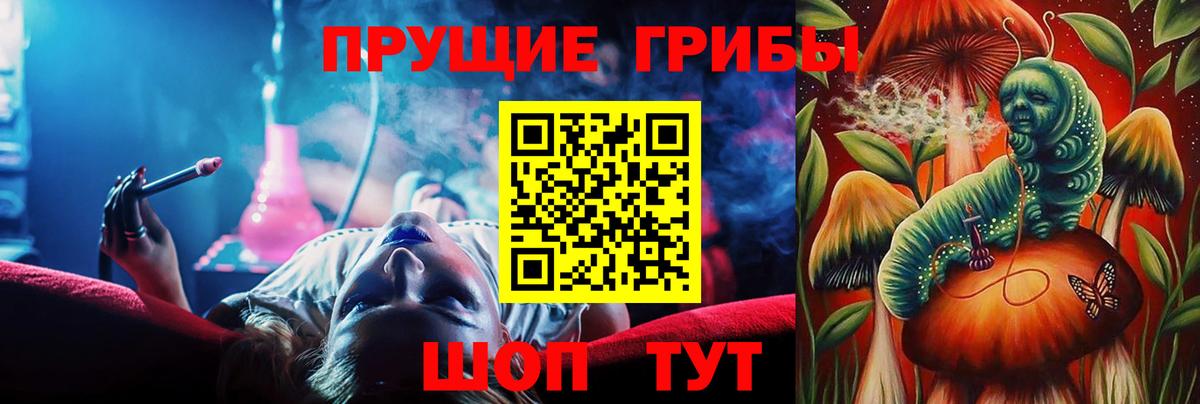 Галлюциногенные грибы Cubensis  Вход с VPN  Галлюциногенные грибы мицелий  Заречный 