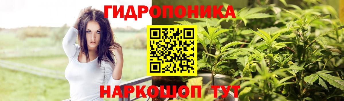 Марихуана конопля  МАРИХУАНА план  Заречный  МАРИХУАНА VHQ  Вход с VPN 